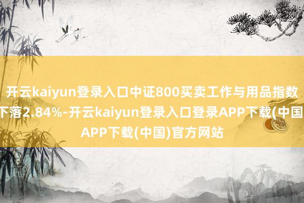 开云kaiyun登录入口中证800买卖工作与用品指数近一个月下落2.84%-开云kaiyun登录入口登录APP下载(中国)官方网站