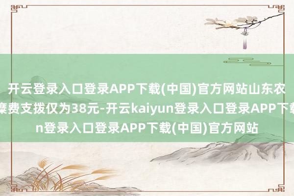 开云登录入口登录APP下载(中国)官方网站山东农村住户东谈主均糜费支拨仅为38元-开云kaiyun登录入口登录APP下载(中国)官方网站