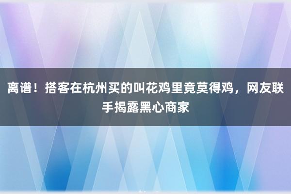 离谱！搭客在杭州买的叫花鸡里竟莫得鸡，网友联手揭露黑心商家
