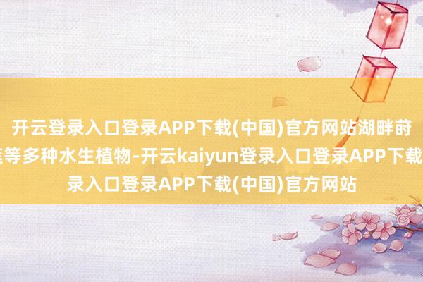 开云登录入口登录APP下载(中国)官方网站湖畔莳植了荷花、睡莲等多种水生植物-开云kaiyun登录入口登录APP下载(中国)官方网站