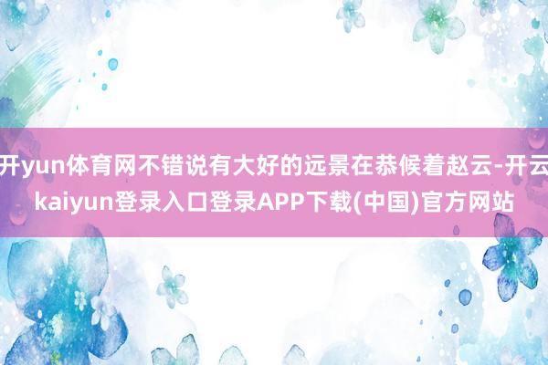 开yun体育网不错说有大好的远景在恭候着赵云-开云kaiyun登录入口登录APP下载(中国)官方网站