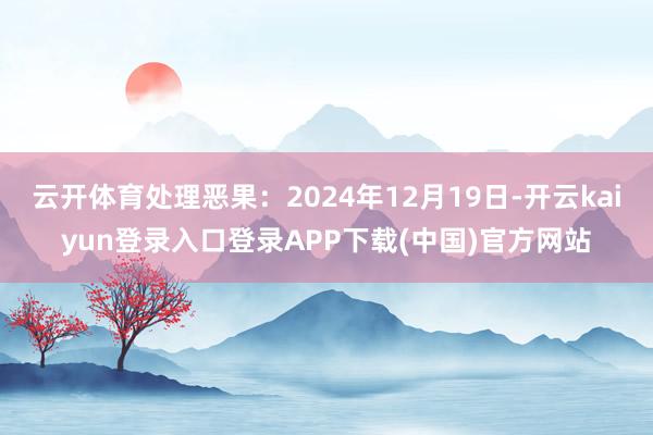 云开体育处理恶果：2024年12月19日-开云kaiyun登录入口登录APP下载(中国)官方网站